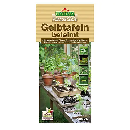 Florissa  Gelbtafeln