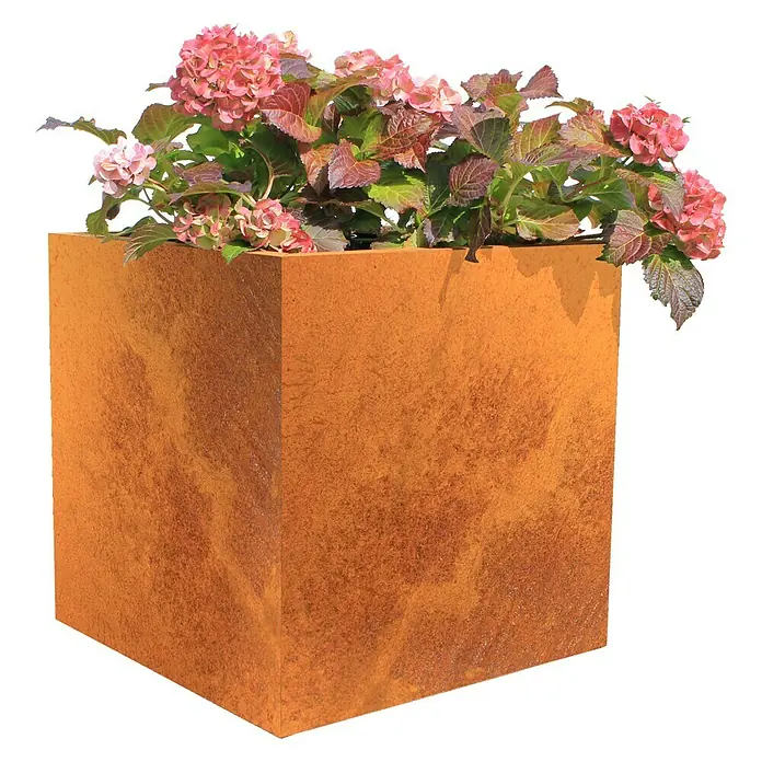 Pflanzgefäß - L x B x H: 50 x 50 x 50 cm, Cortenstahl, Rotbraun - Anwendungsbeispiel
