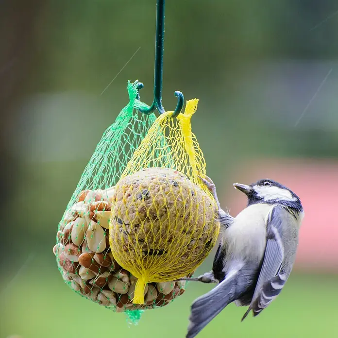 Dobar Wildvogelfutter - 23 Stk. - Stimmungsaufnahme