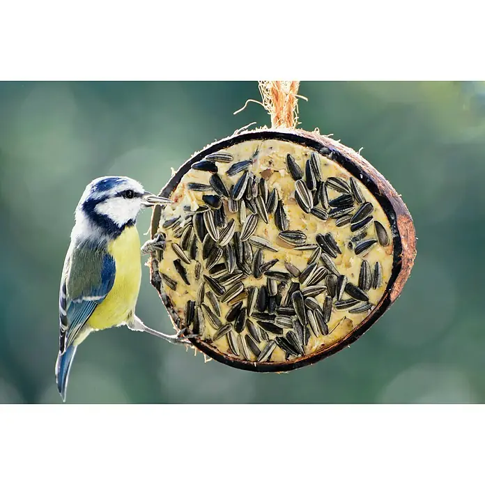 Dobar Wildvogelfutter Set - 10 Stk. - Stimmungsaufnahme