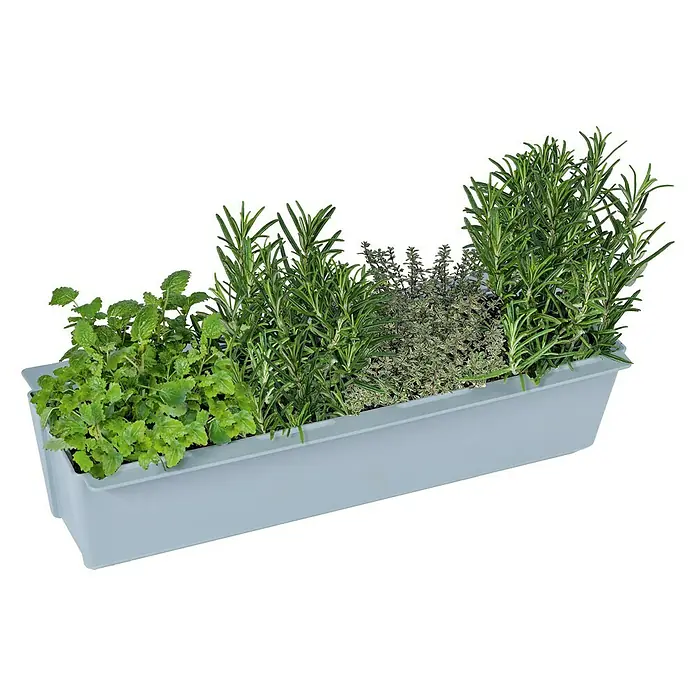 Geli Umetak za kutiju za biljke Easy - Vanjska dimenzija (D x Š x V): 37 x 10 x 10 cm, Plastika, Betonski sive boje