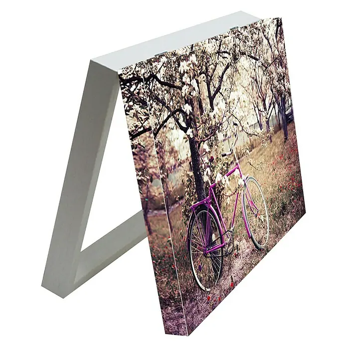 Armario de contadores Decorativo - Bicicleta, 42 x 32 cm