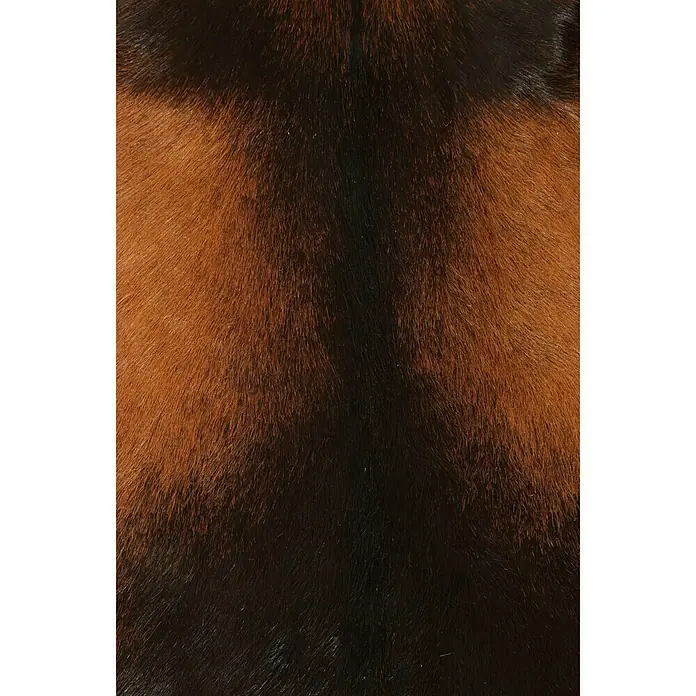 Esbeco Deko-Ziegenfell - Braun, 70 x 55 cm, 100 % Echtfell - Detailaufnahme