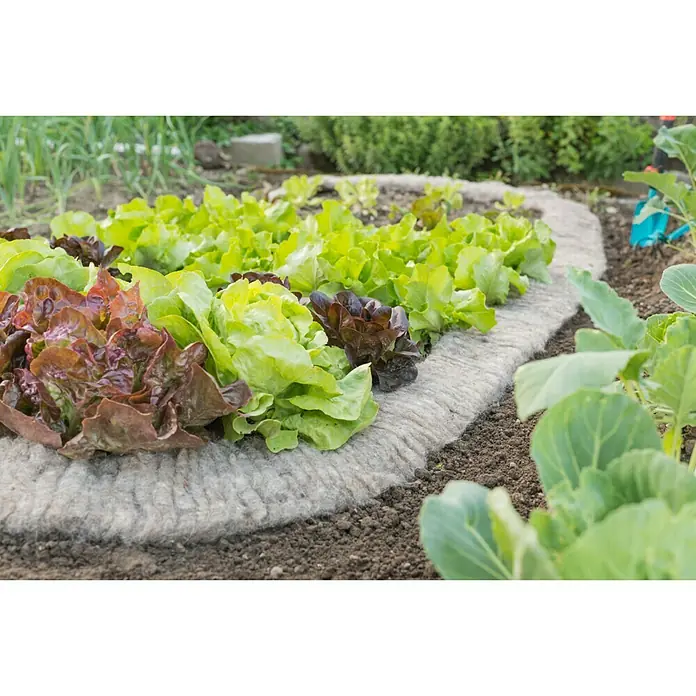Windhager Schnecken-Stopp Schafwoll-Schneckenbremse - L x B: 500 x 10 cm