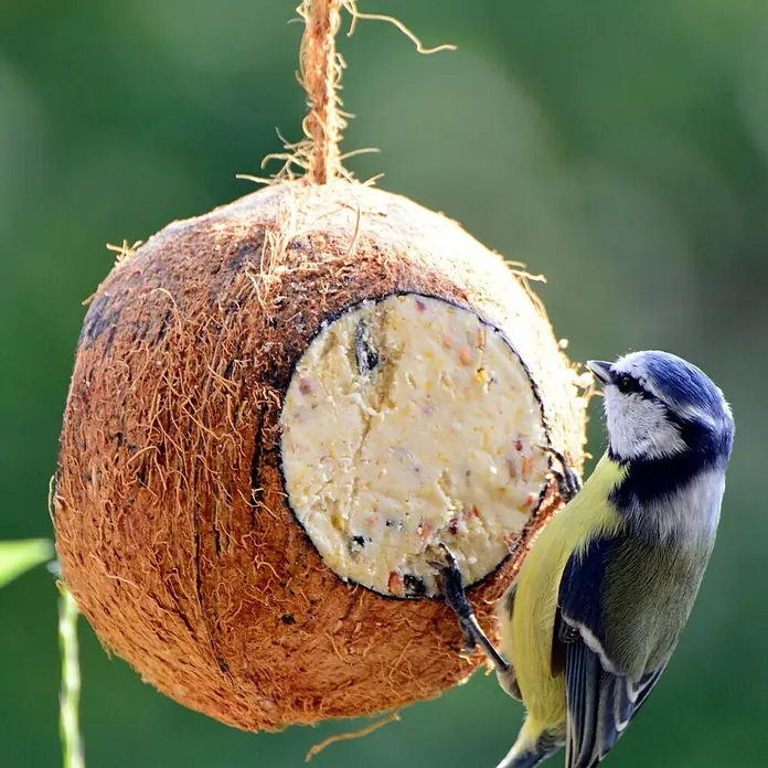 Dobar Wildvogelfutter Set - 6 Stk. - Stimmungsaufnahme
