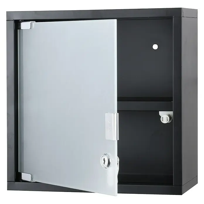 Differnz Kast met vleugeldeuren Quadro zwart - 30 x 30 x 12 cm, Zwart
