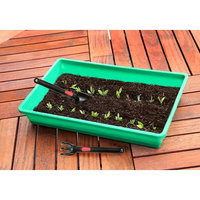 Floraworld Anzuchtschale - 38 x 24 x 6 cm, Grün - Anwendungsbeispiel