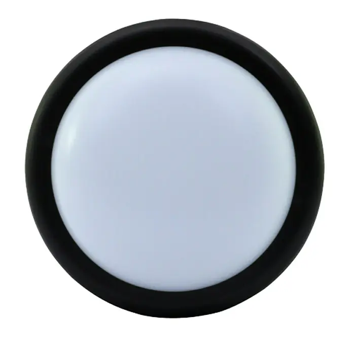 Ritter Leuchten LED-Rundleuchte - Schwarz - Vorderansicht