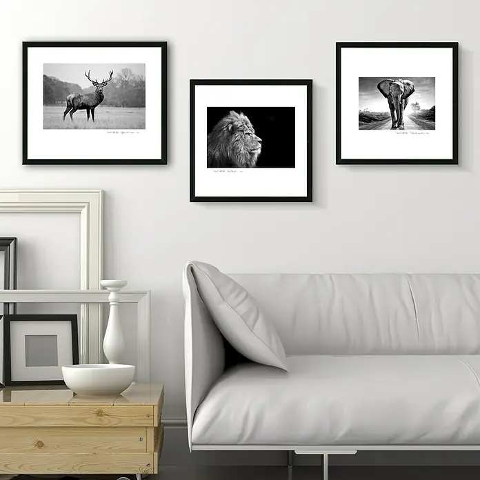 Slika Scandic Living - Š x V: 55 x 55 cm - Živopisni prikaz