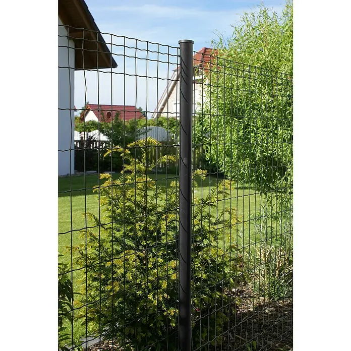Hadra Maschendrahtzaun - 25 x 1,02 m, Anthrazit - Stimmungsaufnahme