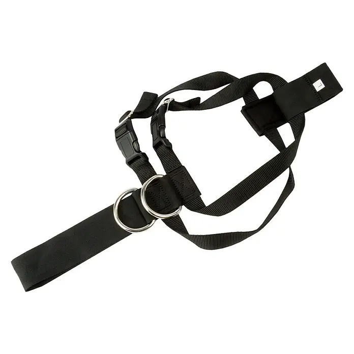 Correa para perros L - Negro