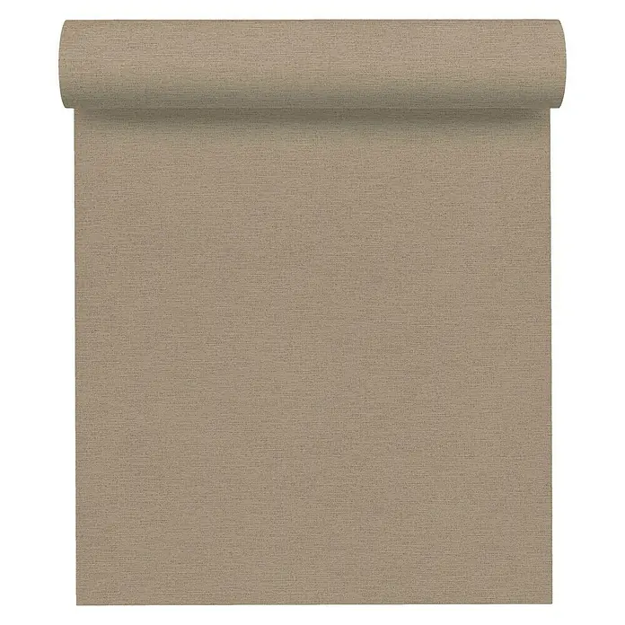 AS Creation Ethnic Origin Vliestapete - Braun, Uni, 10,05 x 0,53 m - Vorderansicht