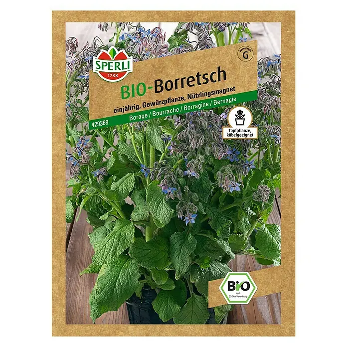 Sperli Kräutersamen Bio Borretsch - Borago officinalis, Saatzeit: März, Erntezeit: Mai - Vorderansicht