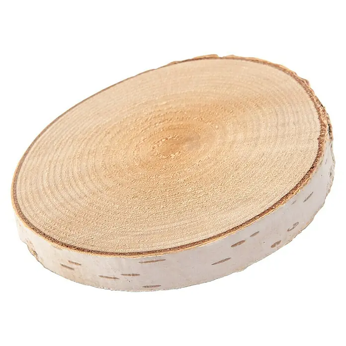 Baumscheibe - Birke, Unbehandelt, Durchmesser: 6 cm - 12 cm - Detailaufnahme