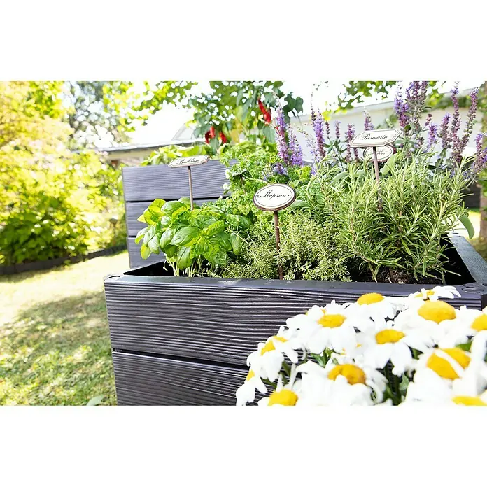 Garantia Hochbeet Ergo Quadro L - 80 x 80 x 25 cm, Kunststoff - Detailaufnahme
