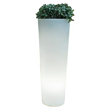 New Garden  Maceta LED Ficus 80
