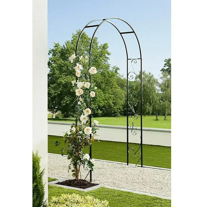 Gardol Rosenbogen Elian - Schwarz, 26 x 120 x 240 cm