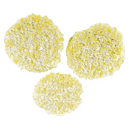 Kärcher  Almohadilla pulidora para piedra o PVC