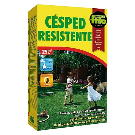 Semillas de césped Resistente Fitó