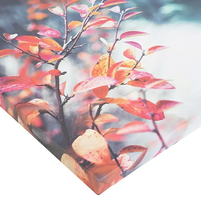 Póster Autumn Park - Naturaleza, An x Al: 45 x 45 cm