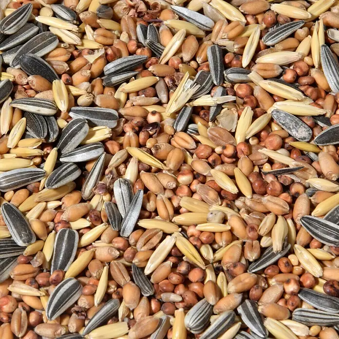 Dobar Wildvogelfutter - 20 kg