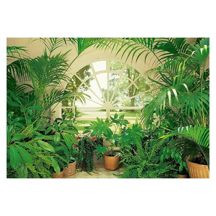 Fotomural Winter garden - An x Al: 366 x 254 cm, Papel
