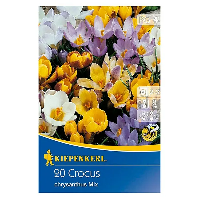 Kiepenkerl Frühlingsblumenzwiebeln Chrysanthus Mix - Crocus chrysanthus, 20 Stk. - Vorderansicht
