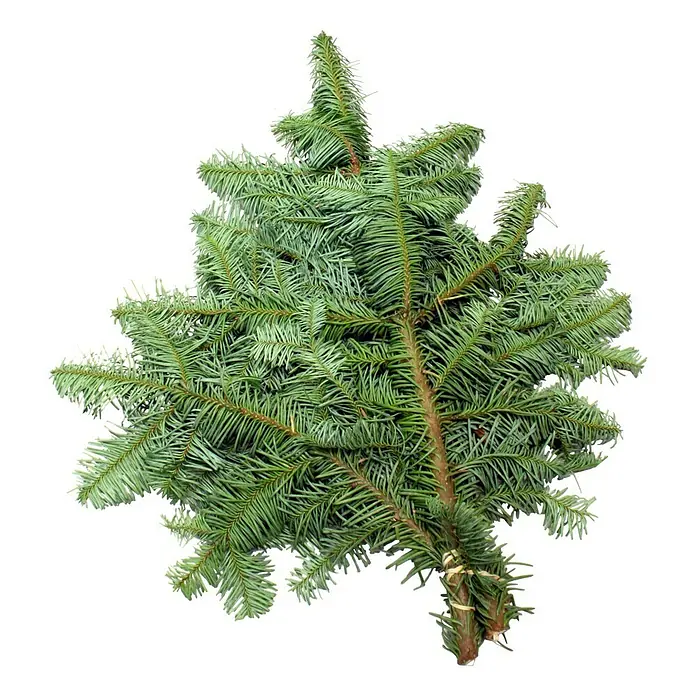 Piardino Ramas de abeto Nobilis - Haz de mano, 500 g - Vista frontal