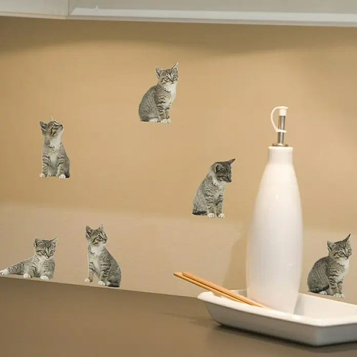 Adhesivos decorativos - Gatos - Foto ambiente