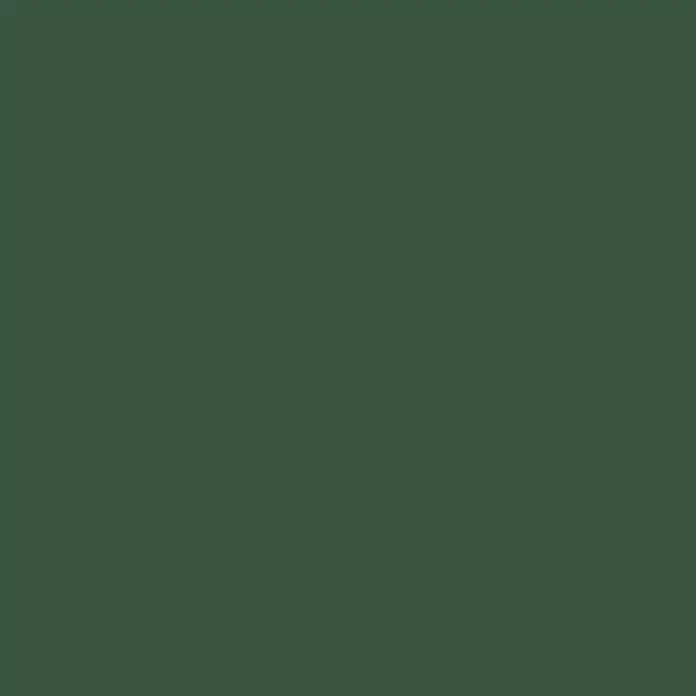 swingcolor Wandfarbe SIMPLY Grün - Grün - Nr. 21, 1 l, Matt