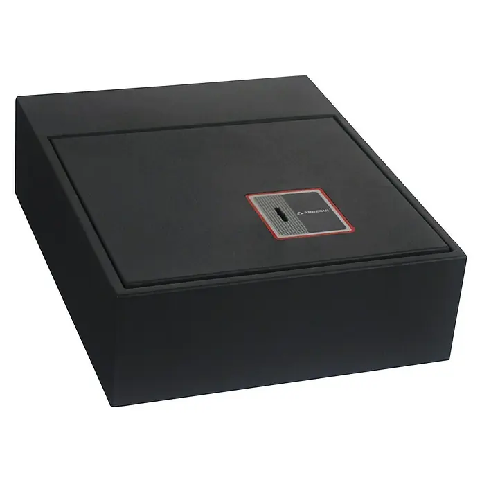 Arregui Caja fuerte para muebles Basa 20000-S7K - L x An x Al: 31 x 38 x 11 cm, Tipo de cerradura: Cerradura de seguridad con doble paletón