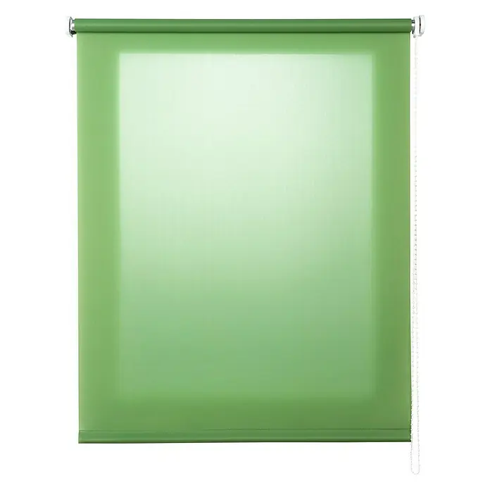 Estor enrollable Roll-up - An x Al: 160 x 250 cm, Hierba