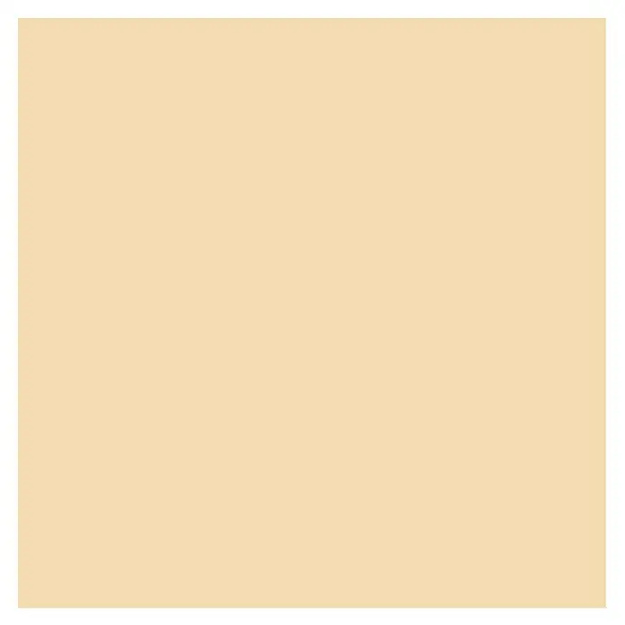 SCHÖNER WOHNEN-Farbe Wandfarbe Trendfarbe - Cream, 1 l, Matt, Konservierungsmittelfrei - Draufsicht