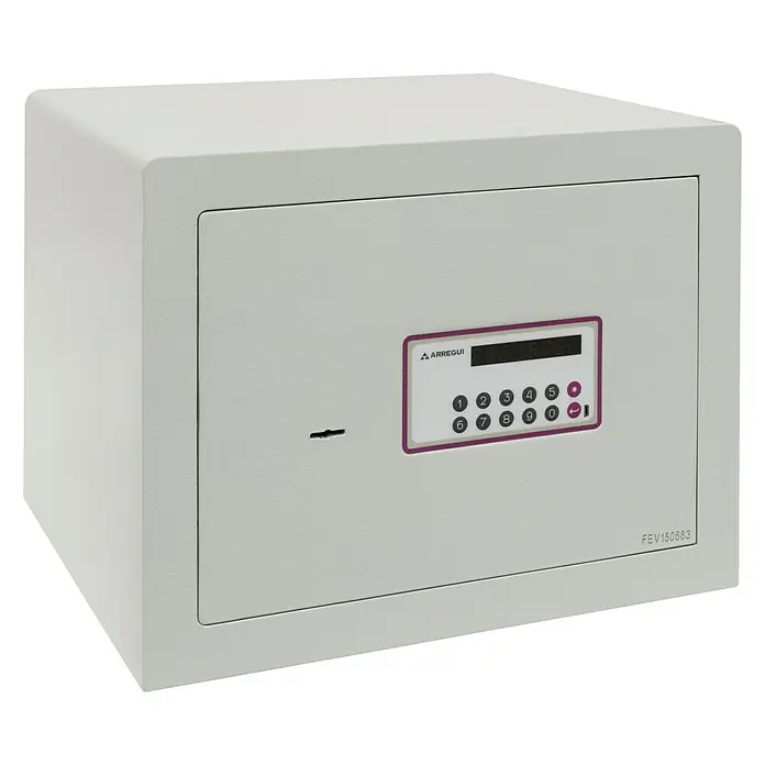 Arregui Caja fuerte para muebles Forma Evolution 150050 - L x An x Al: 42 x 36 x 32 cm, Tipo de cerradura: Códigos de usuario - Vista angular