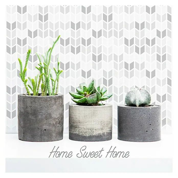Póster Home sweet home - Plantas, An x Al: 45 x 45 cm - Vista superior