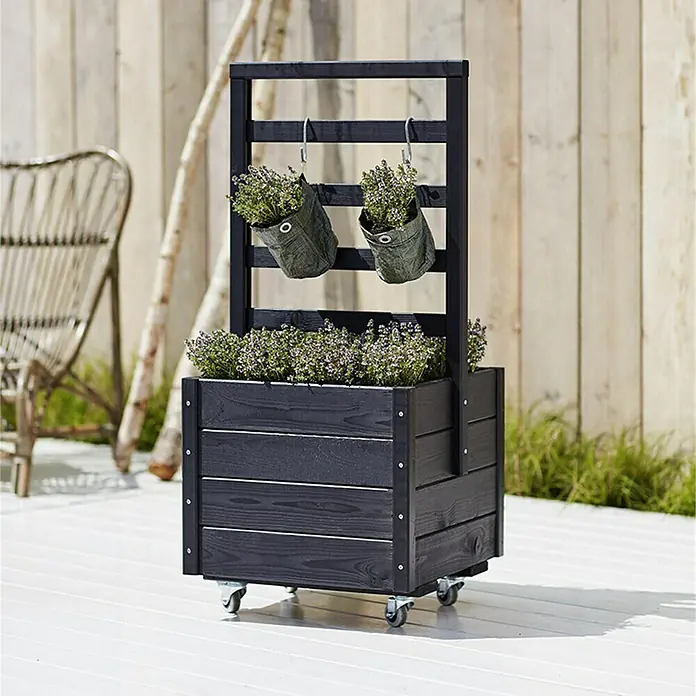 Plus Pflanzkasten - L x B x H: 48 x 48 x 105 cm, Schwarz, Mit Rankgitter - Stimmungsaufnahme