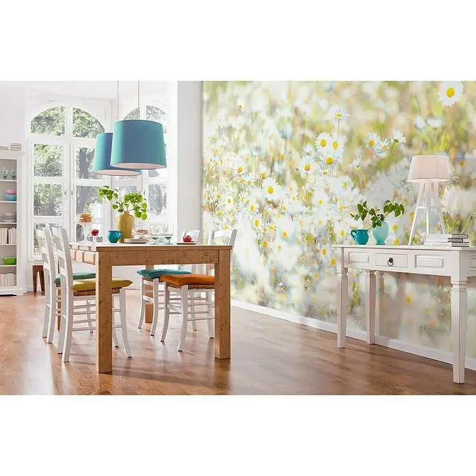 Komar Imagine Edition 3 - Stories Foto tapeta Daisies - 8 -dij., Š x V: 368 x 254 cm, Papir - Živopisni prikaz