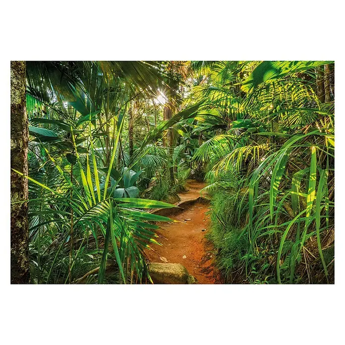 Komar Foto tapeta Jungle Trail - 8 -dij., Š x V: 368 x 254 cm, Papir - Pogled sprijeda
