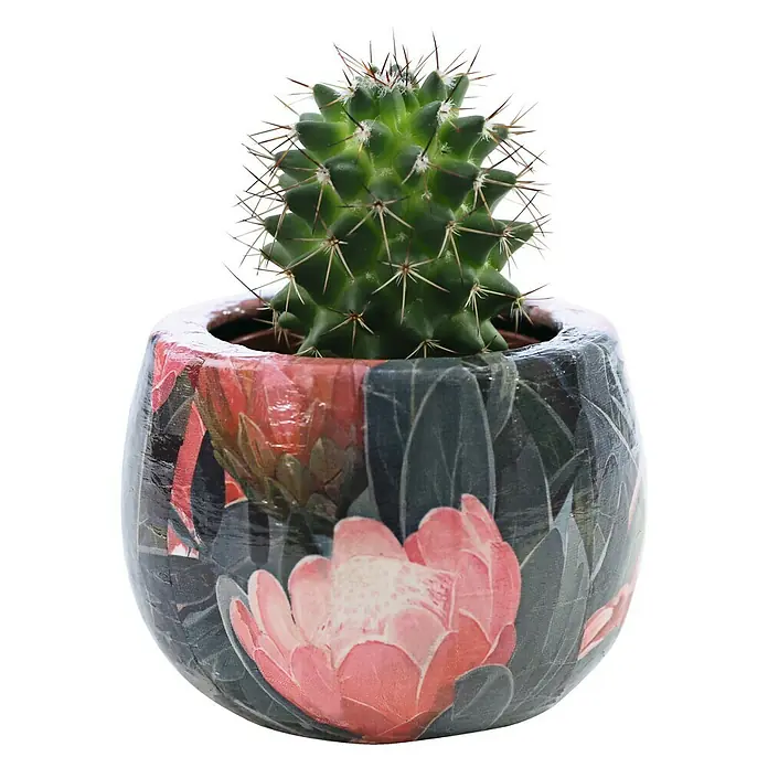 Décopatch Pieza decorativa maceta redonda - 1 ud., Cartón, 8 x 6 cm