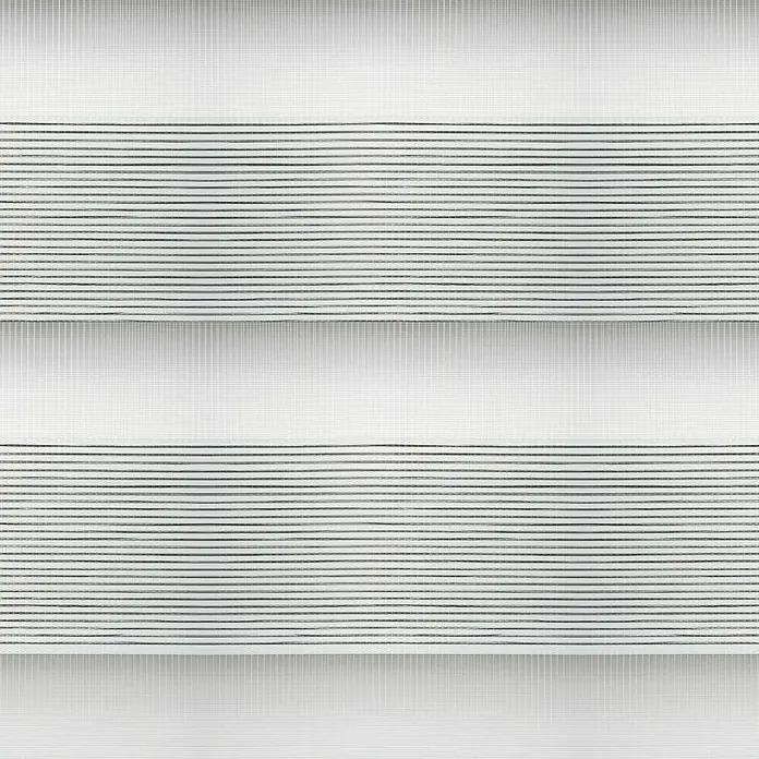 Estor noche y día Platinum - An x Al: 200 x 250 cm, Gris