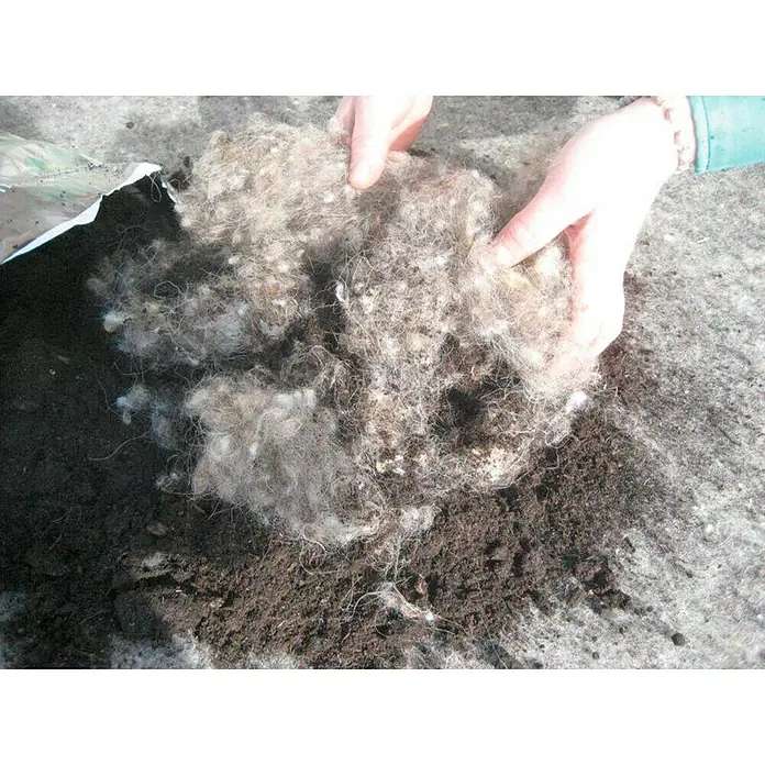 Windhager Schafwoll-Noppen - 200 g