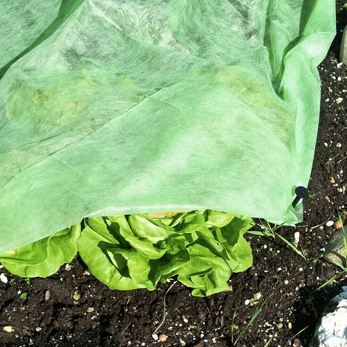 Windhager Filc za prekrivanje biljaka - D x Š: 10 x 2 m