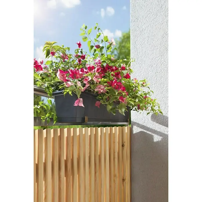 Windhager Blumenkastenhalter - Braun, 1-fach verstellbar, 2 Stk.
