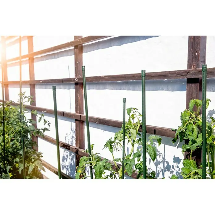 Windhager Pflanzstab - Ø x L: 1,6 x 210 cm, Grün