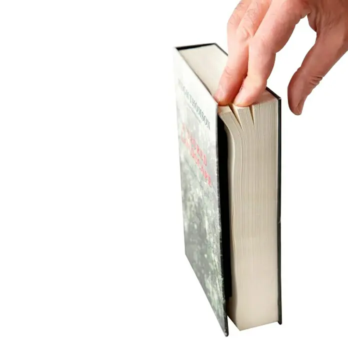 Arregui Caja de caudales Book C-9381 - L x An x Al: 22 x 15,4 x 2,2 cm