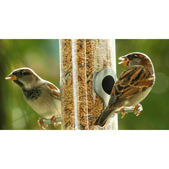Dobar Wildvogelfutter - 20 kg - Stimmungsaufnahme