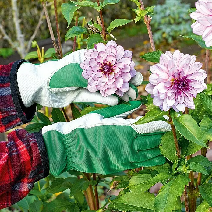 Gardol Vrtne rukavice Care - Konfekcijska veličina: 9, Zelene boje