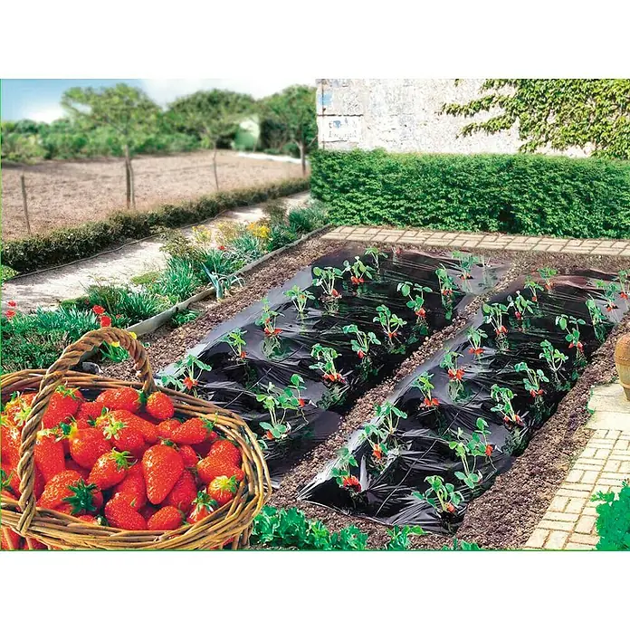 Nortene Filc za zaštitu jagoda - D x Š: 10 x 1,4 m