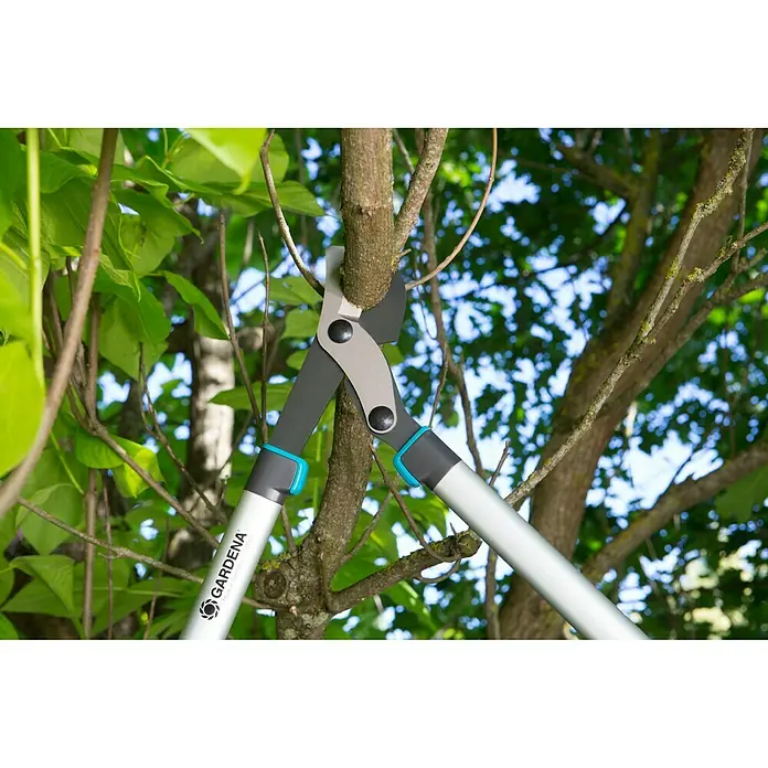 Gardena EnergyCut Astschere 750 B - Bypass, Max. Aststärke: 42 mm - Anwendungsbeispiel
