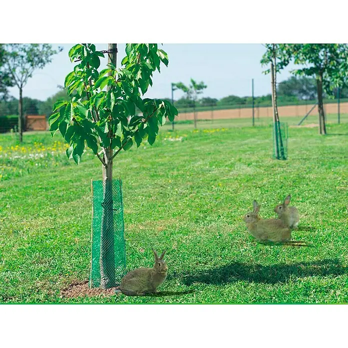 Nortene Protector para plantas Treeguard - 10 uds., Plástico, Verde